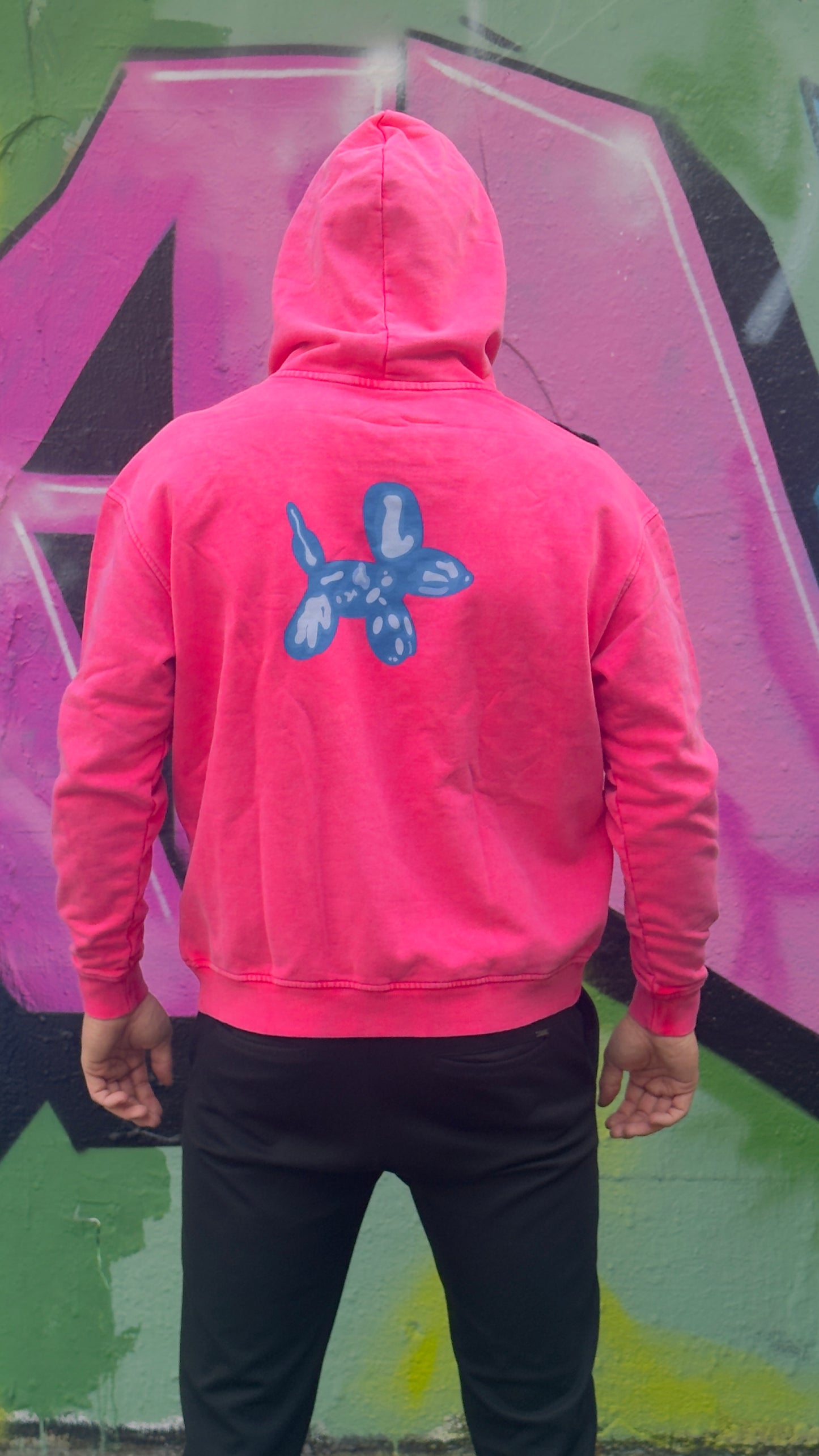 PopDog Pink Hoodie